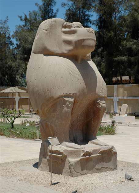 The worship of cynocephali at Hermopolis Magna makes clear that the animal in question is the hamadryas baboon (Papio hamadryas). (N.J. Dominy/ G. Kopp et al. eLife)