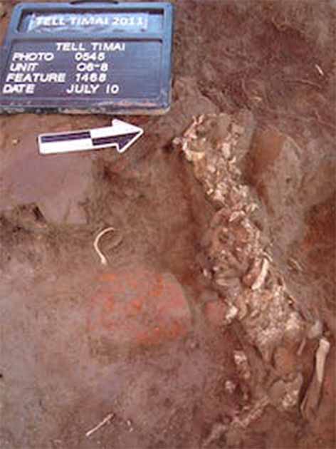 The remains of a young man who appears to have crawled into a kiln and died there. (Author provided/The Conversation)